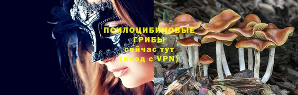 марки lsd Покровск