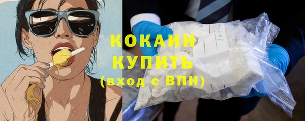 гидра Беслан