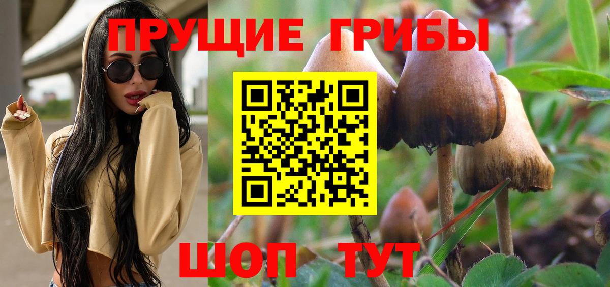 Псилоцибиновые грибы прущие грибы  цена наркотик  Майский  Псилоцибиновые грибы Magic Shrooms  Вход с VPN 